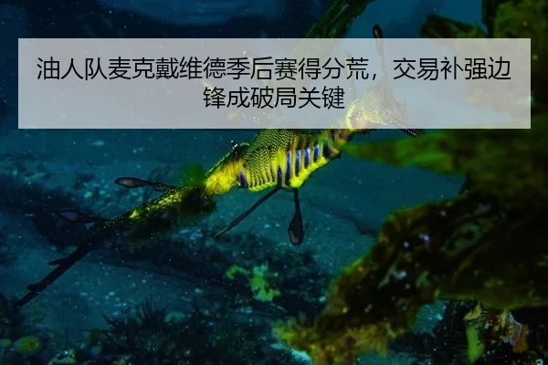 you-ren-dui-mai-ke-dai-wei-de-ji-hou-sai-de-fen-huang-jiao-yi-bu-qiang-bian-feng-cheng-po-ju-guan-jian-3-671.jpg