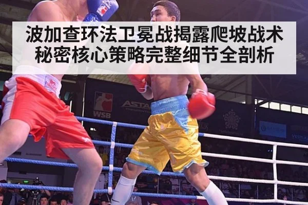波加查环法卫冕战揭露爬坡战术秘密核心策略完整细节全剖析